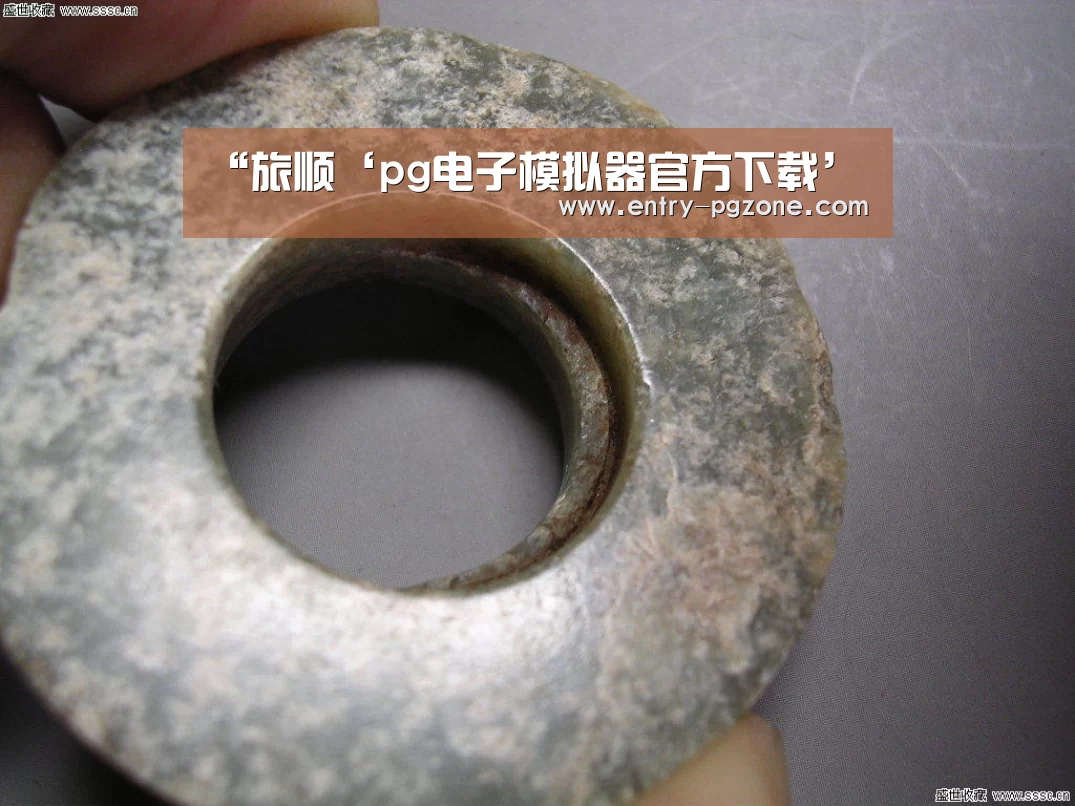 pg电子模拟器官方下载
